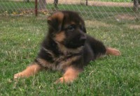 /album/a5-weeks/stenka-b-vrh-044-jpg/